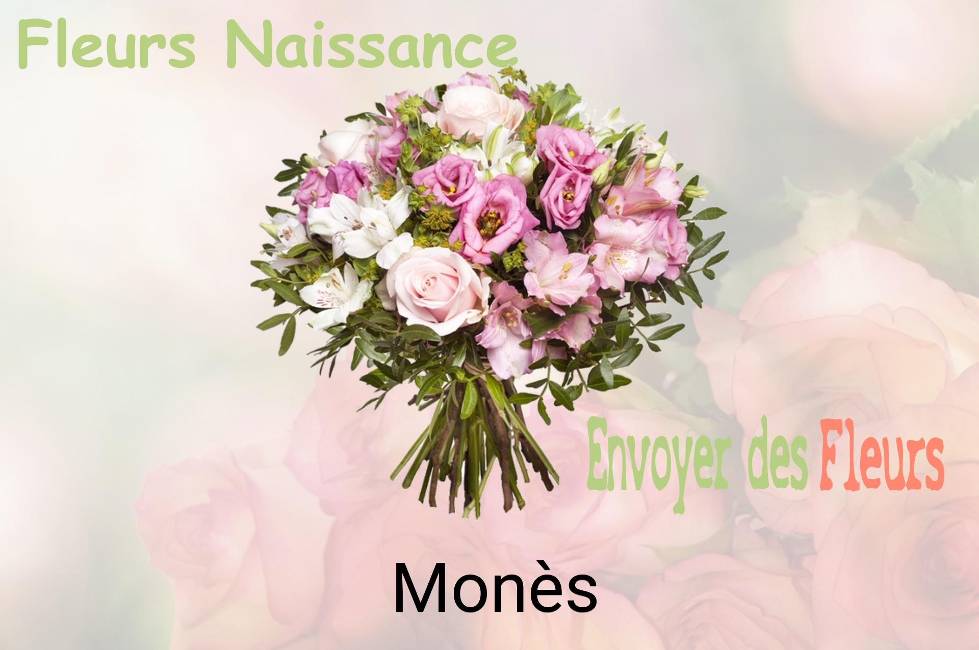 Bouquet de fleurs de naissance livré à Monès