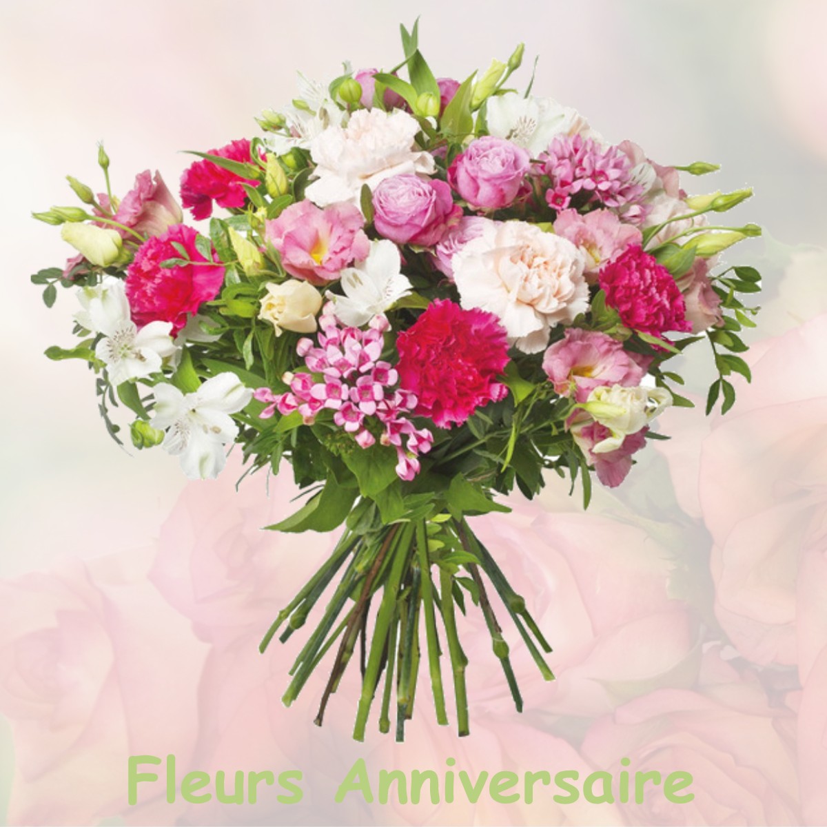 fleurs anniversaire MONES