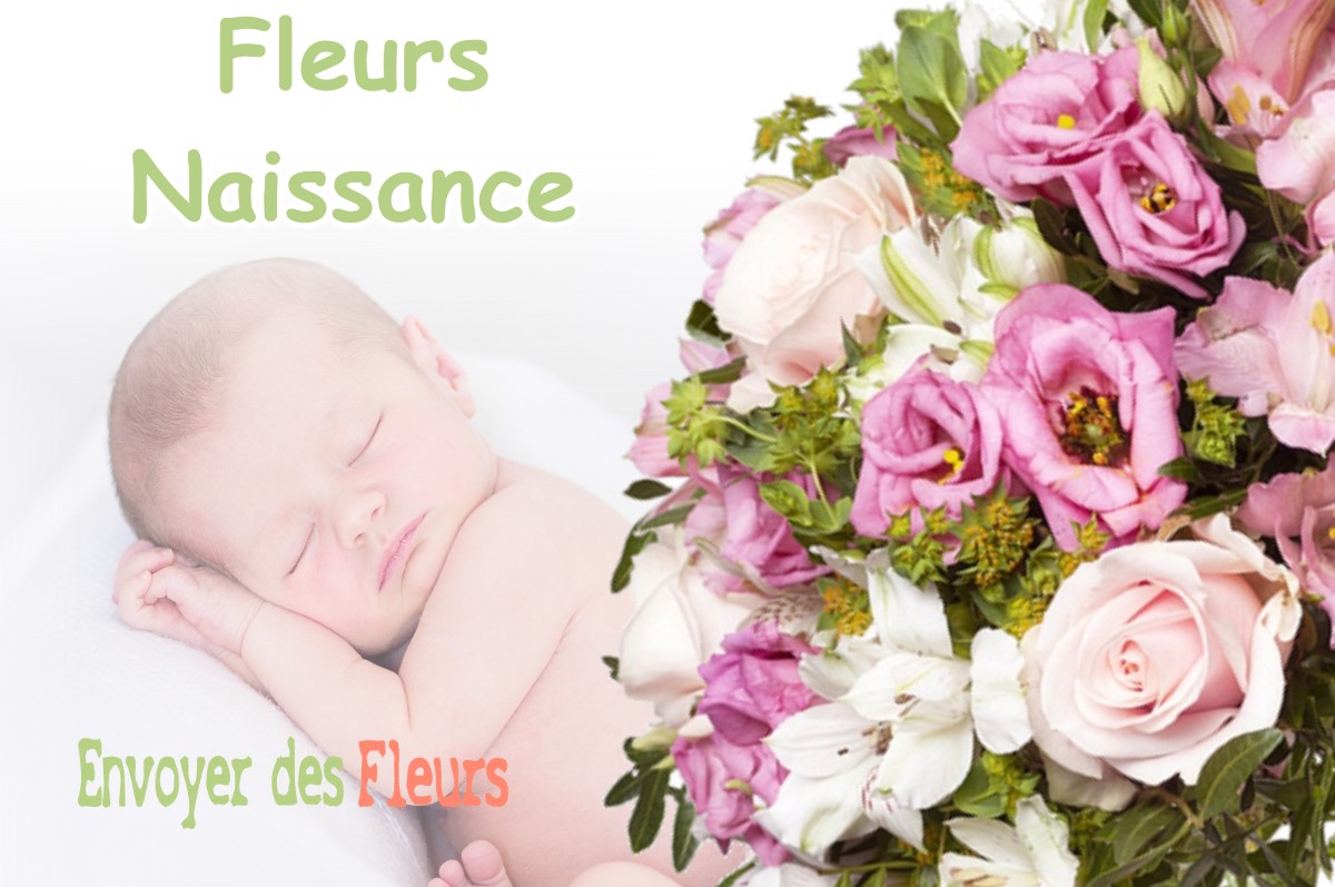 lIVRAISON FLEURS NAISSANCE à MONES